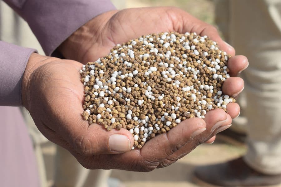 Two hands holding a scoop of blended fertilizer prills and granules.